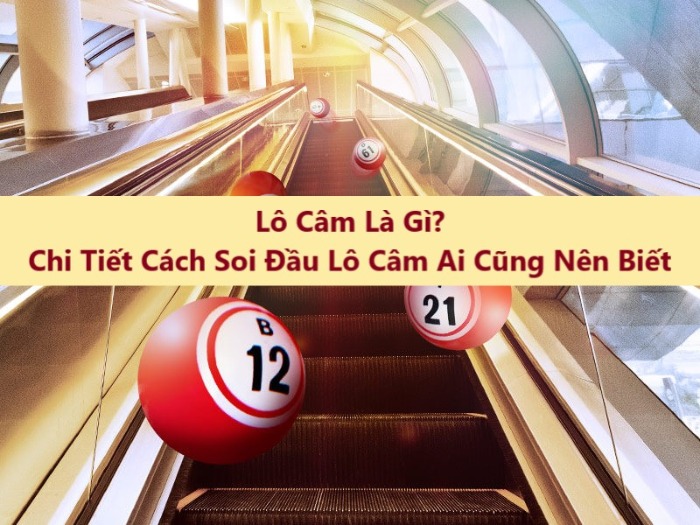 Nhiều người mới tham gia sẽ không thể hiểu rõ lô câm là gì