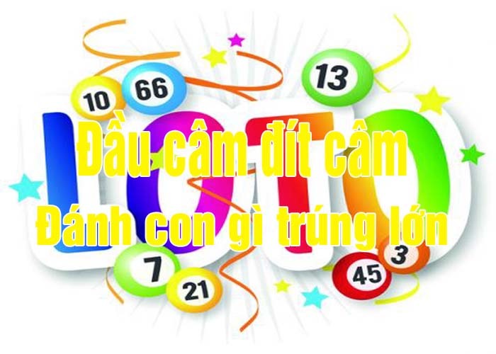 Chia sẻ thông tin đầu đít câm hôm sau đánh con gì?