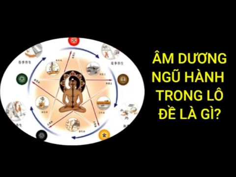 bóng âm dương ngũ hành